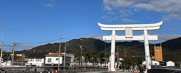 出雲大社大鳥居