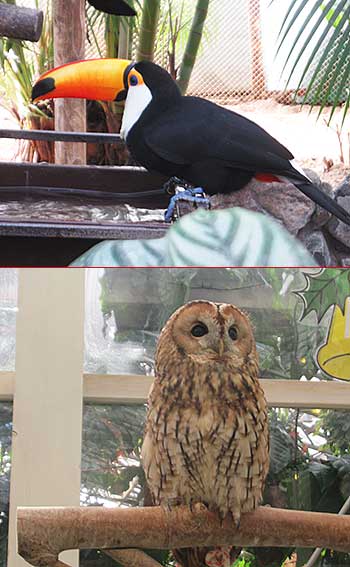 ���]�t�H�[�Q���p�[�N�̒�����